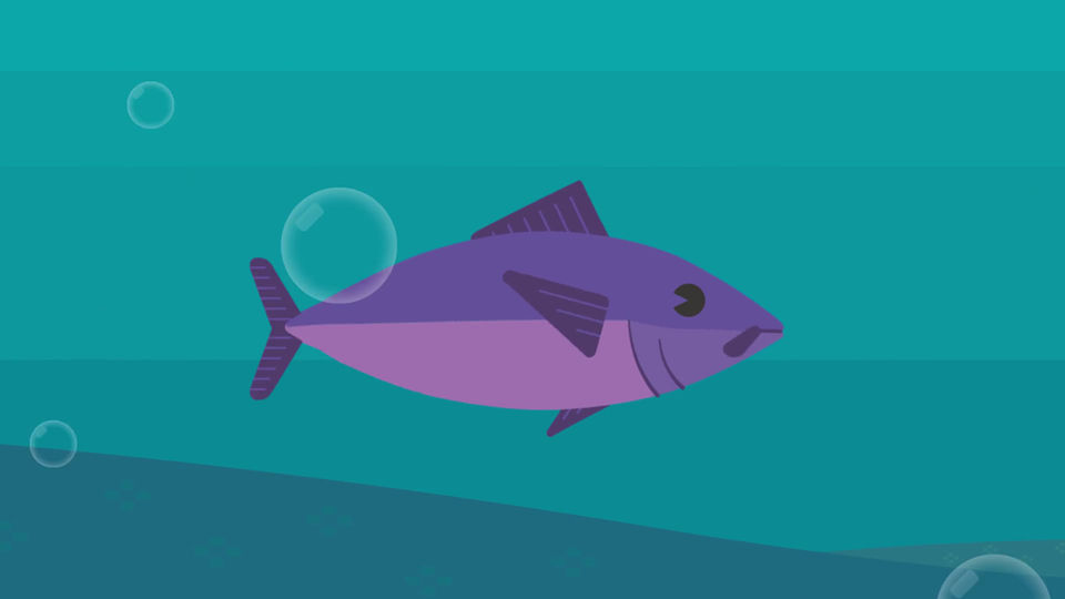 plastic_island_Carlos_WEB